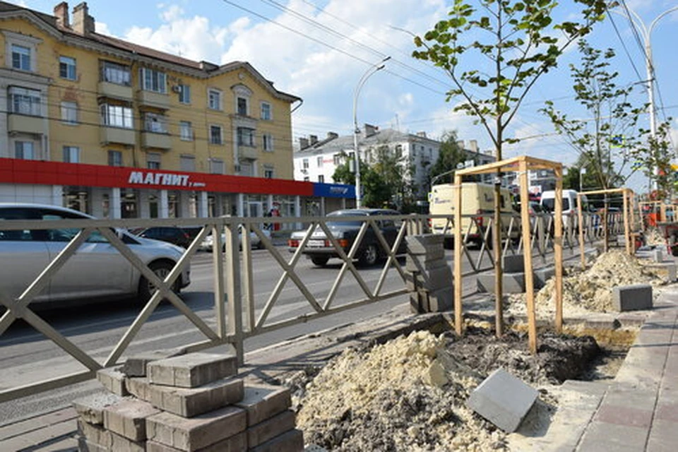 Липам в Тамбове обеспечили уход