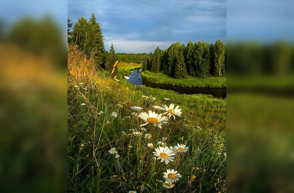 Фото: Марина Лобанцева.