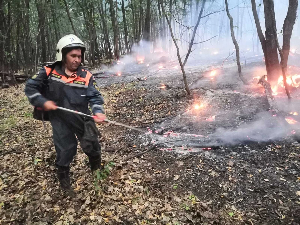 В Самарской области продолжают тушить крупный природный пожар. Фото - МЧС