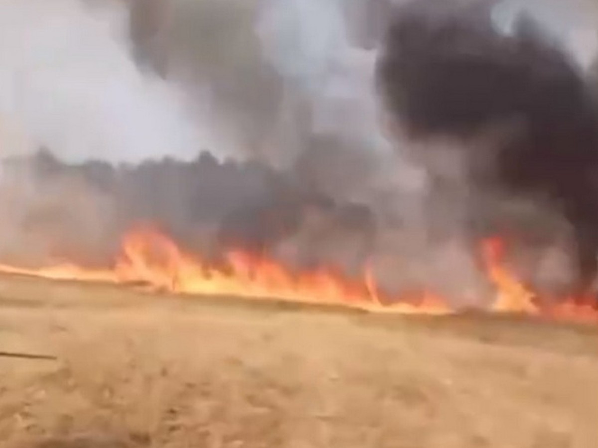 Попали в пекло пожара, машина заглохла»: тушившие лес волонтеры попали в  огненную ловушку в Башкирии - KP.RU