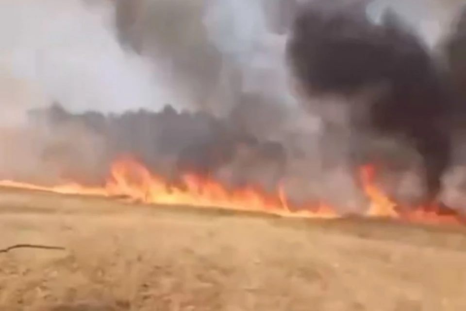 Огонь окутал поля и часть леса в Баймакском районе Башкирии