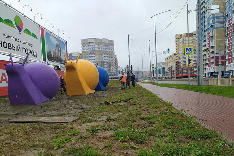 Трех улиток установили в среду, 25 августа.