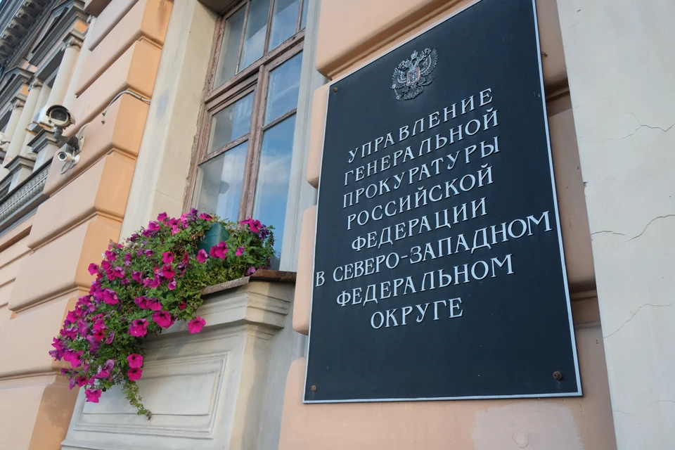 Прокуратура проверит сообщения об отказе в принятии ребенка в лицей в Петербурге