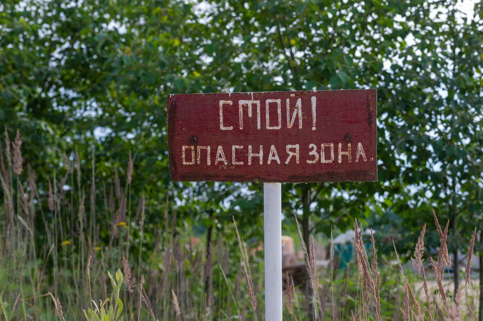 Лес может быть приютом не только для белочек и зайчиков, но еще и для людей со странными наклонностями.