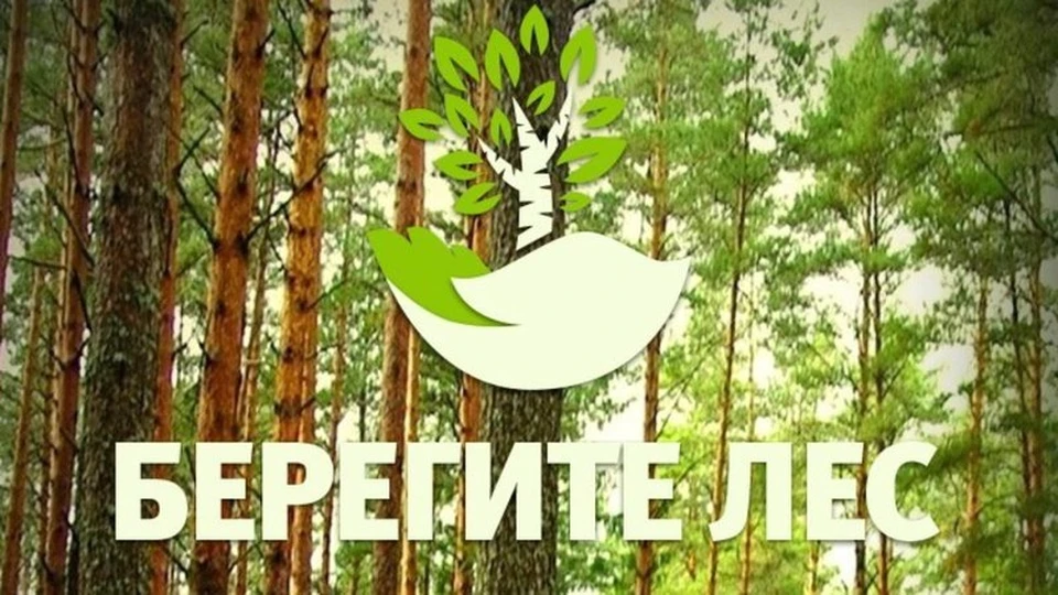 Сохраняется опасность лесных пожаров