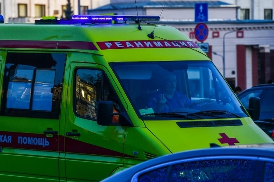 В Новосибирской области корова насмерть задавила пастуха.