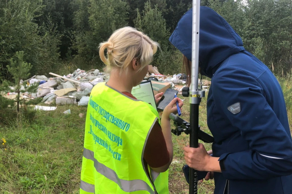 Свалку обнаружили в Колтушском сельском поселении под Всеволожском. Фото: eco.lenobl.ru