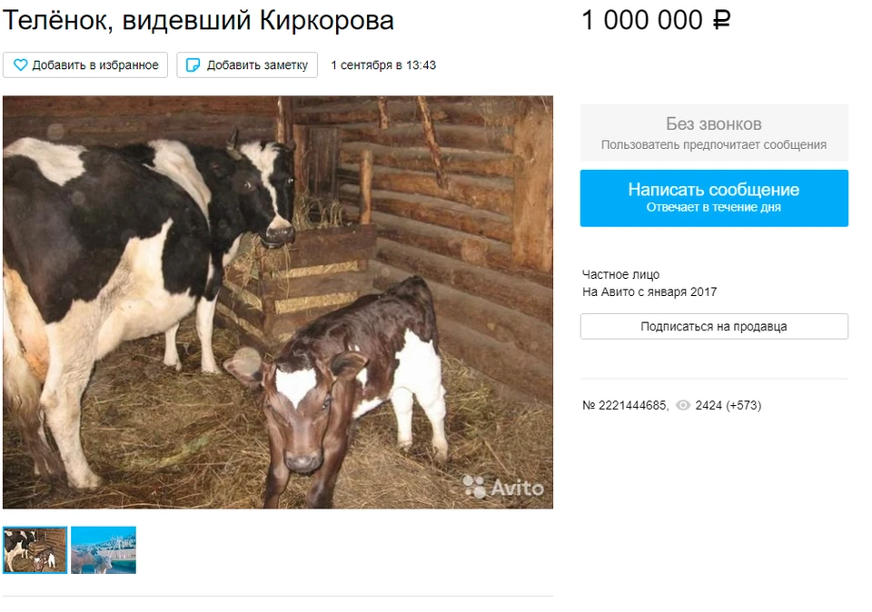 Животное можно купить за один млн рублей или обменять на недвижимость. Скриншот страницы на "Авито"