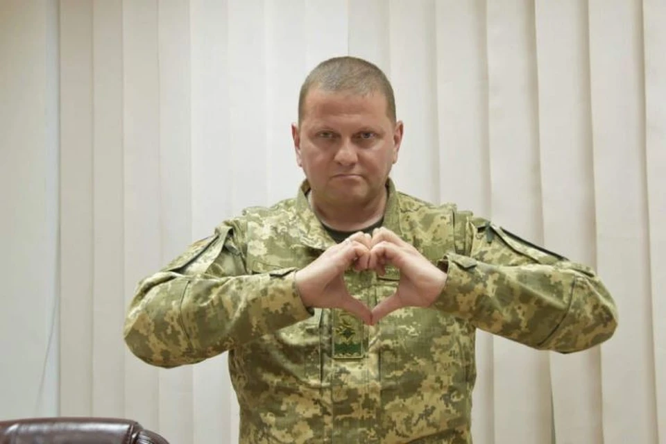 Главнокомандующий ВСУ заявил, что хотел бы проехаться на танке по Красной площади Фото: Facebook Валерия Залужного