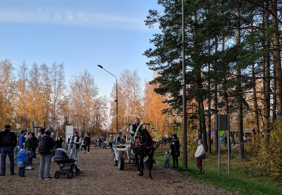 Затюменский экопарк стал больше на 23 гектара.