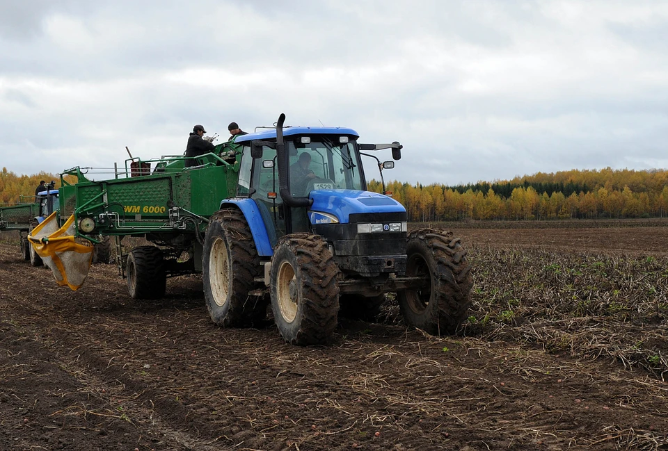 В Тверской области продолжается уборка урожая