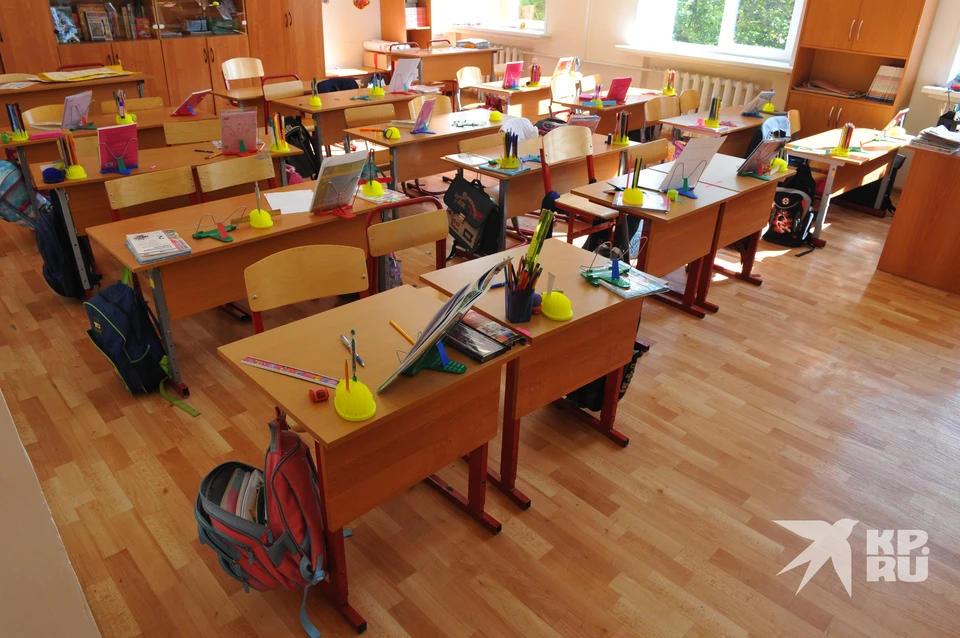 Рязанское министерство образования рекомендовало школам отказаться от уроков 18 сентября.