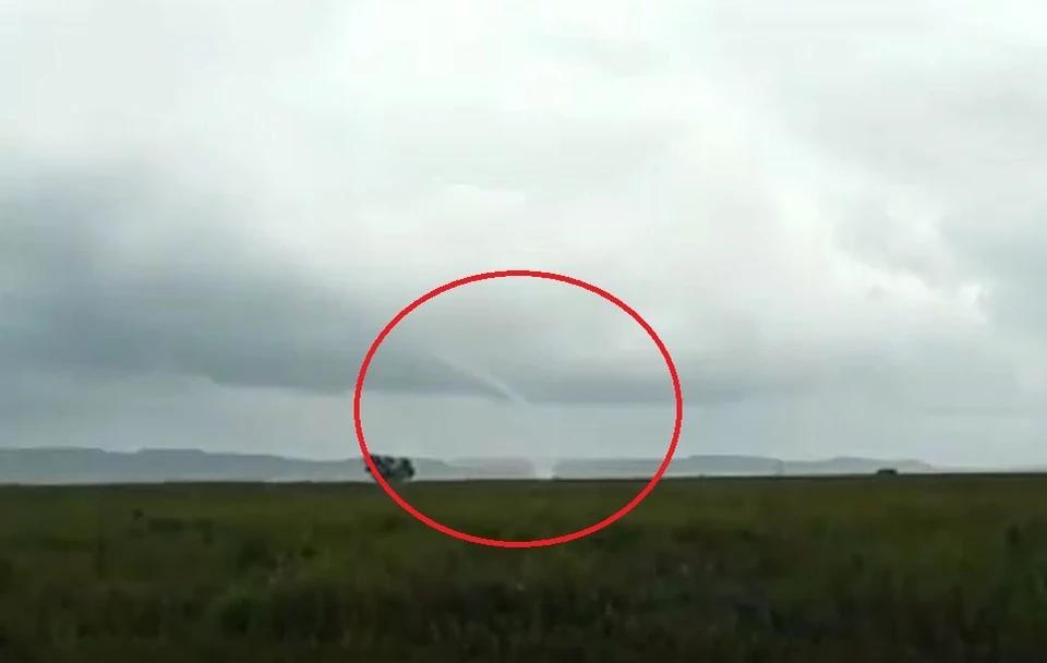 Фото: Скриншот из видео.