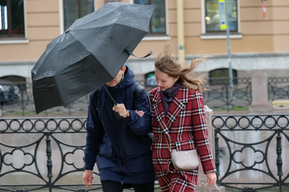 В Петербурге ожидается усиление ветра.