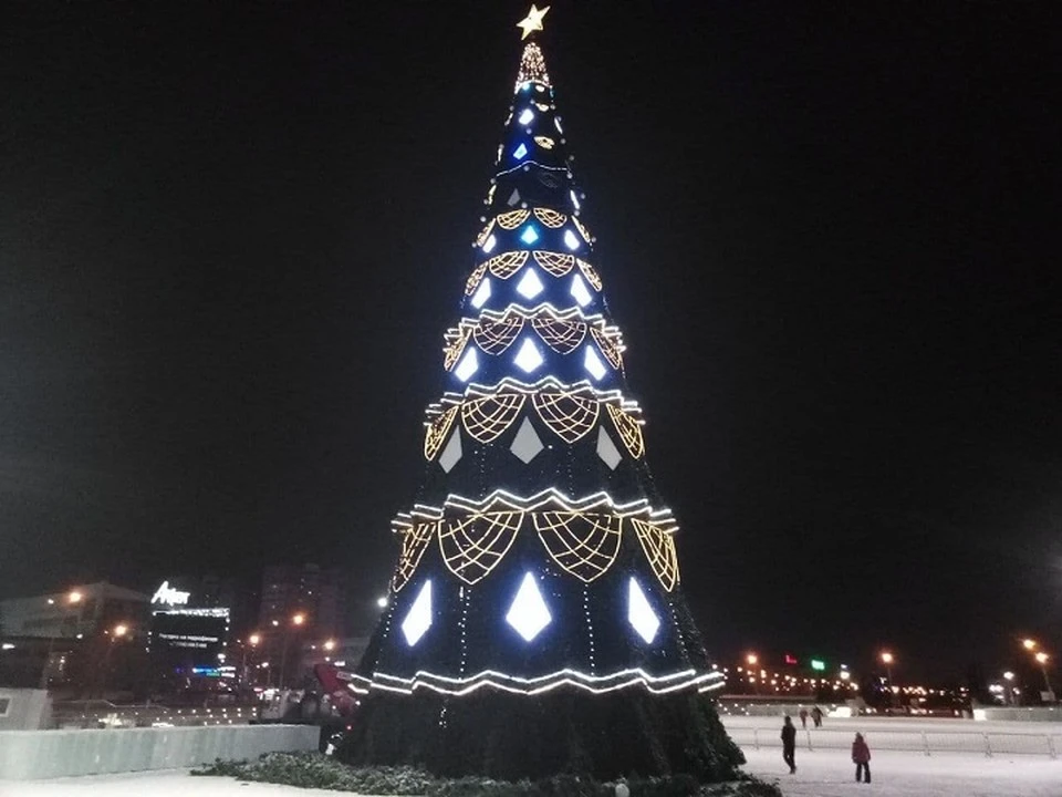Вот так выглядела прошлая новогодняя ель.