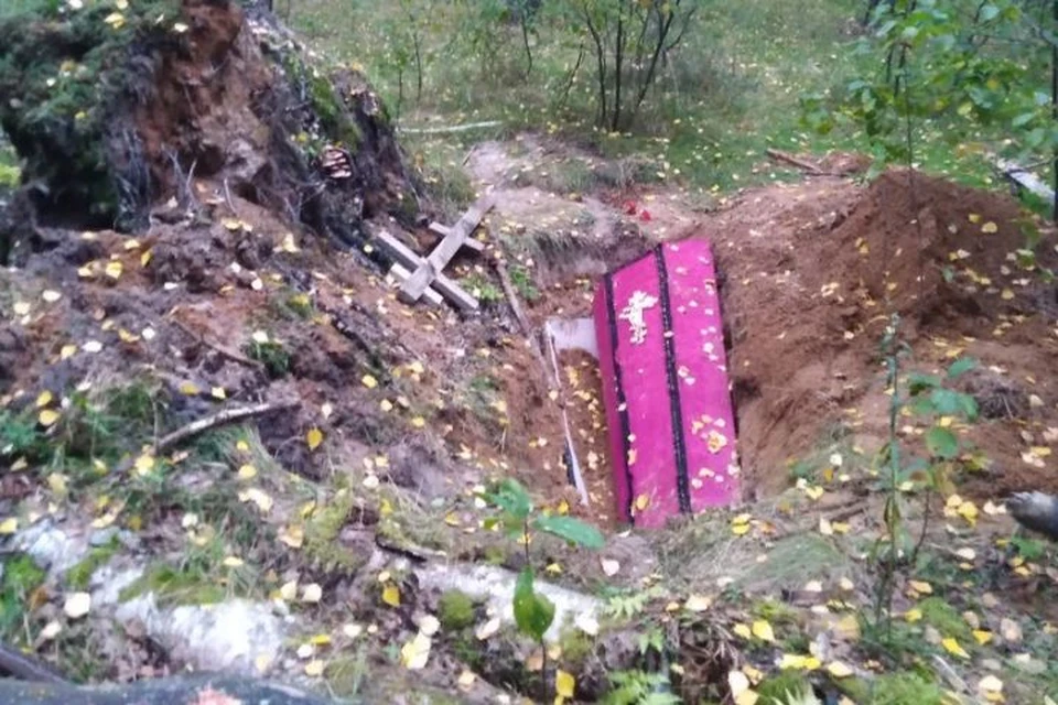 Грибники нашли розовый гроб. Фото: группа ВКонтакте "Подслушано в Ярославле"