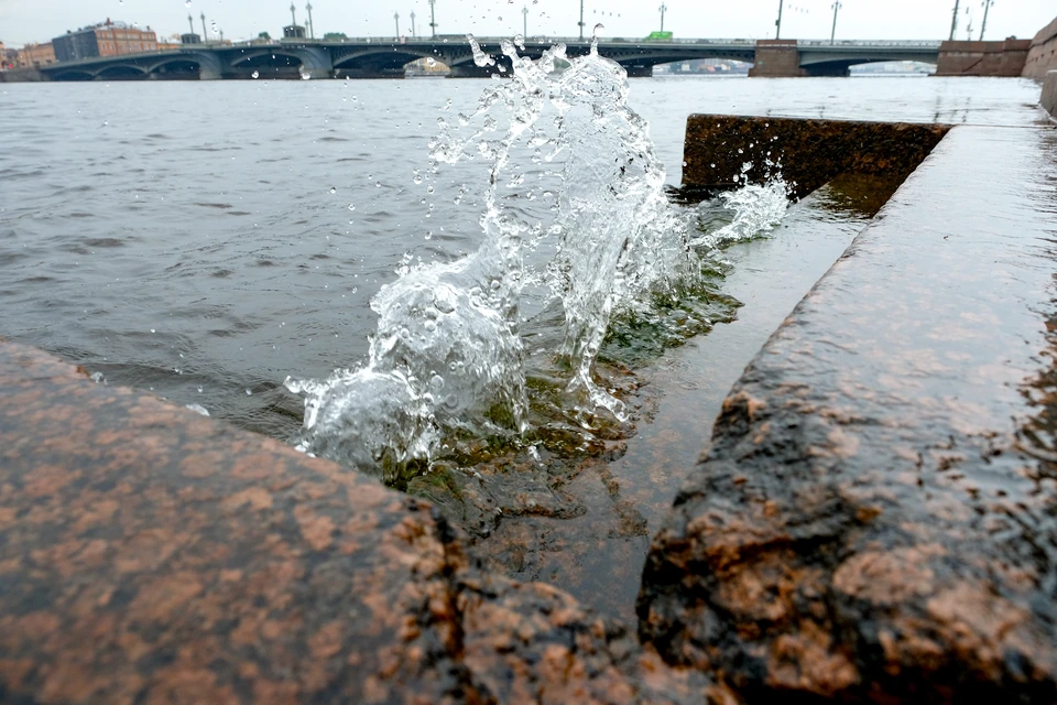 Уровень воды в Неве поднялся выше 130 сантиметров