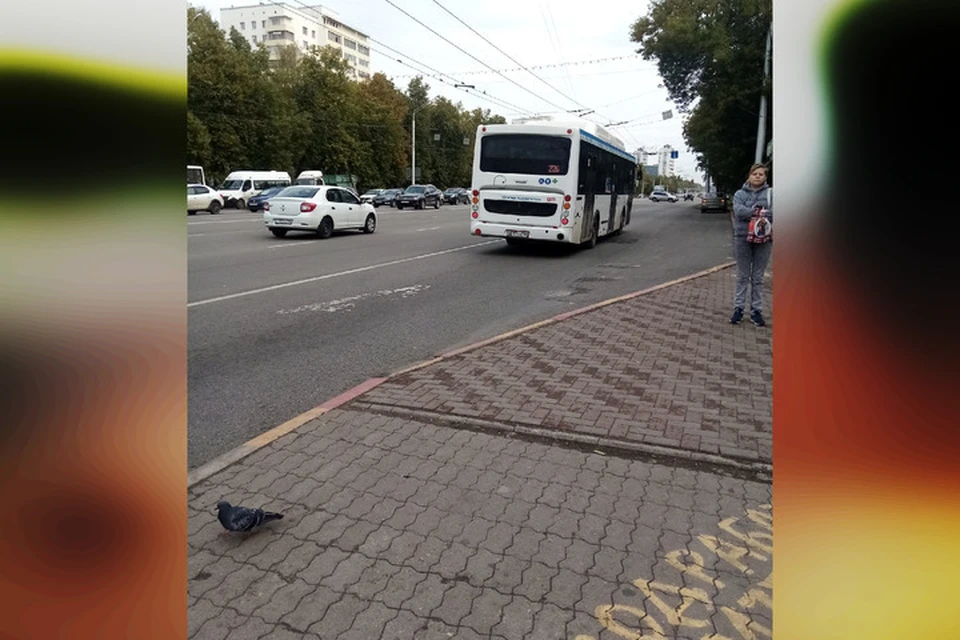 Фото: соцсети