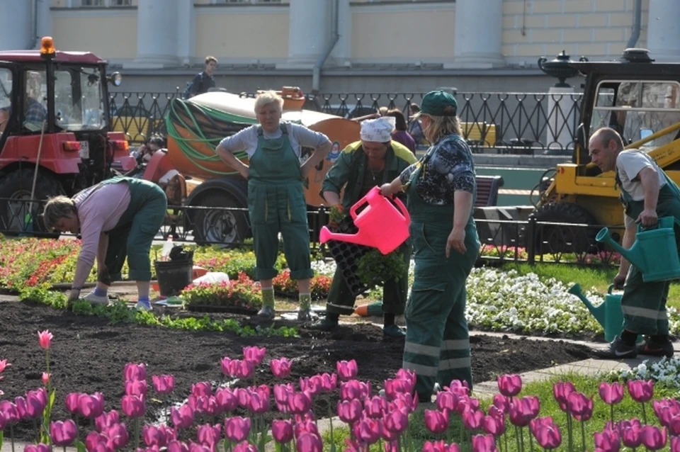 На Большой высадят цветы за 1,3 миллиона рублей