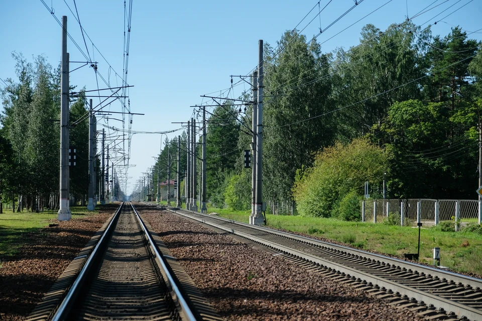 Электричка насмерть сбила пенсионерку под Петербургом
