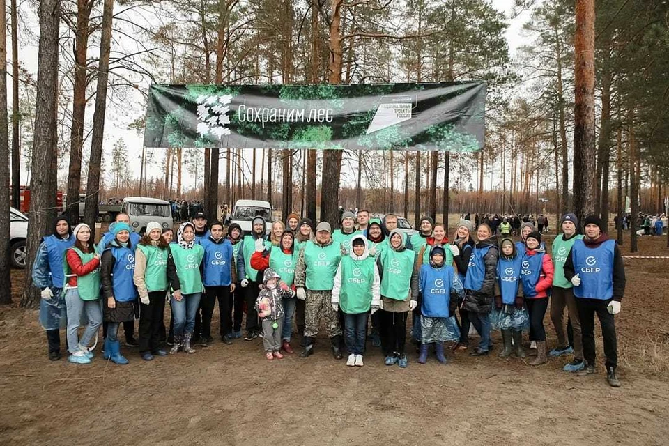 1000 молодых сосен высадил Сбер в рамках всероссийской экологической акции «Сохраним лес». Фото - Сбер.
