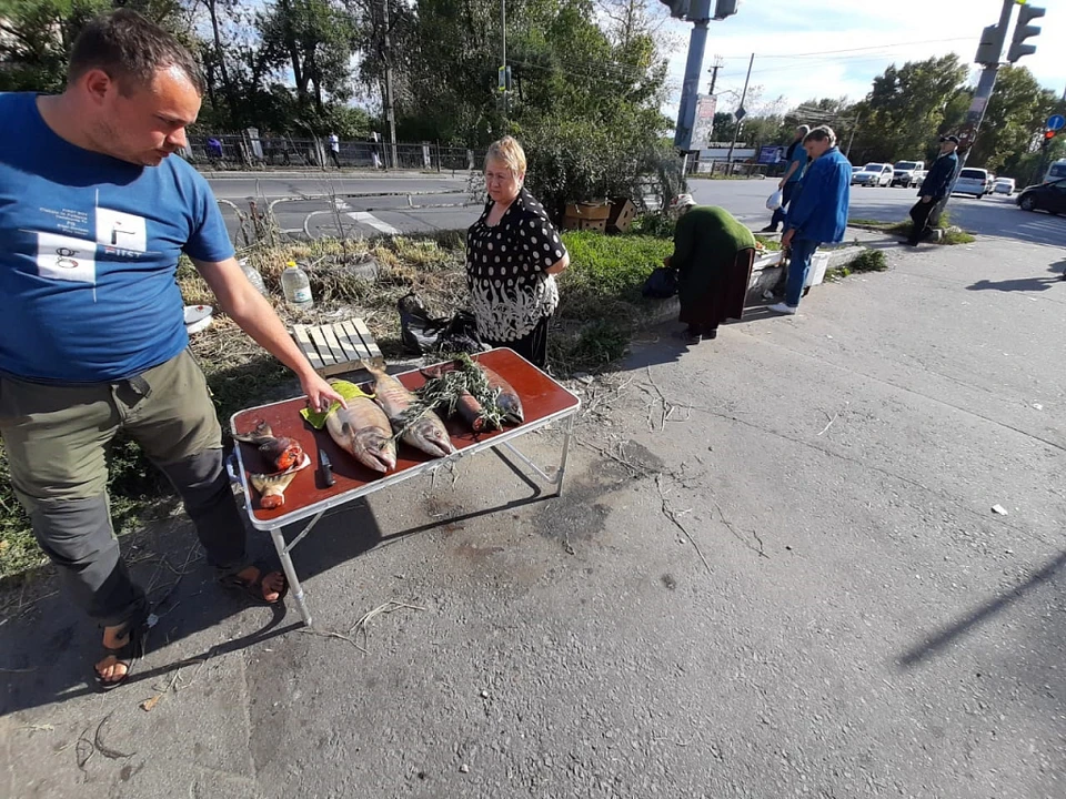 В Хабаровске прикрыли незаконную торговлю рыбой