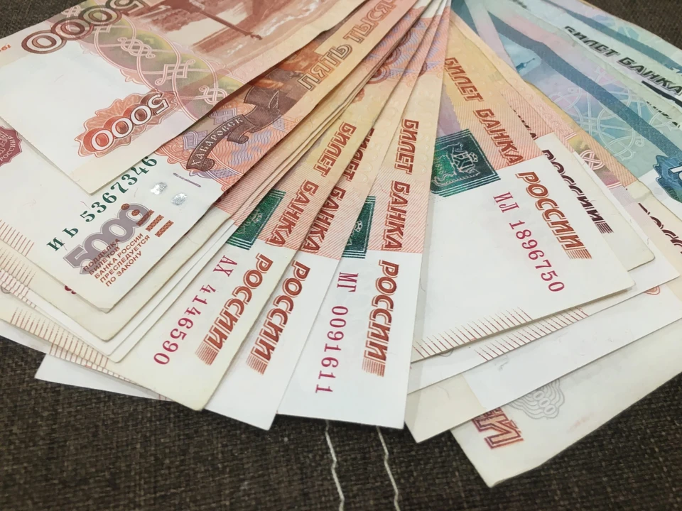 По данным фактам проводится проверка