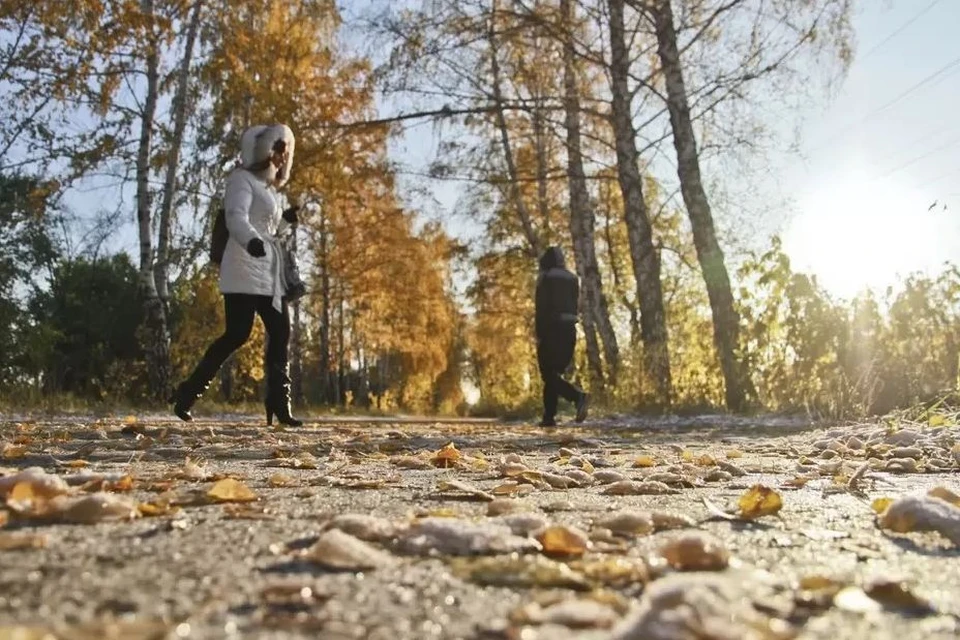 Днем будет до +10 градусов