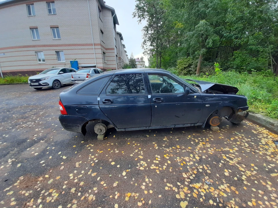 Фото: пресс-служба администрации города Костромы