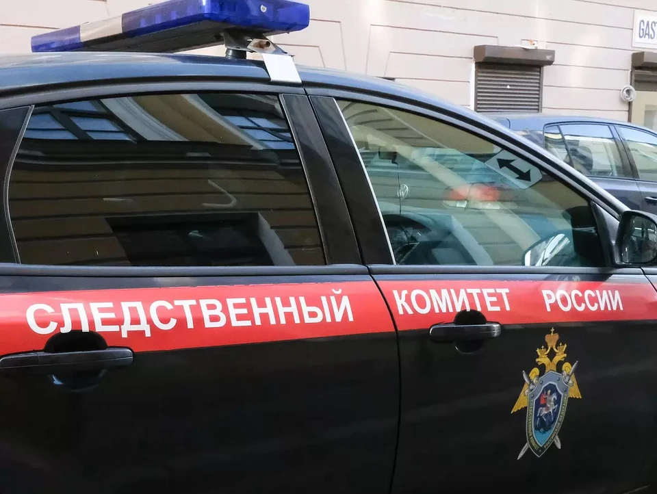 Дело ведет Следственный комитет.