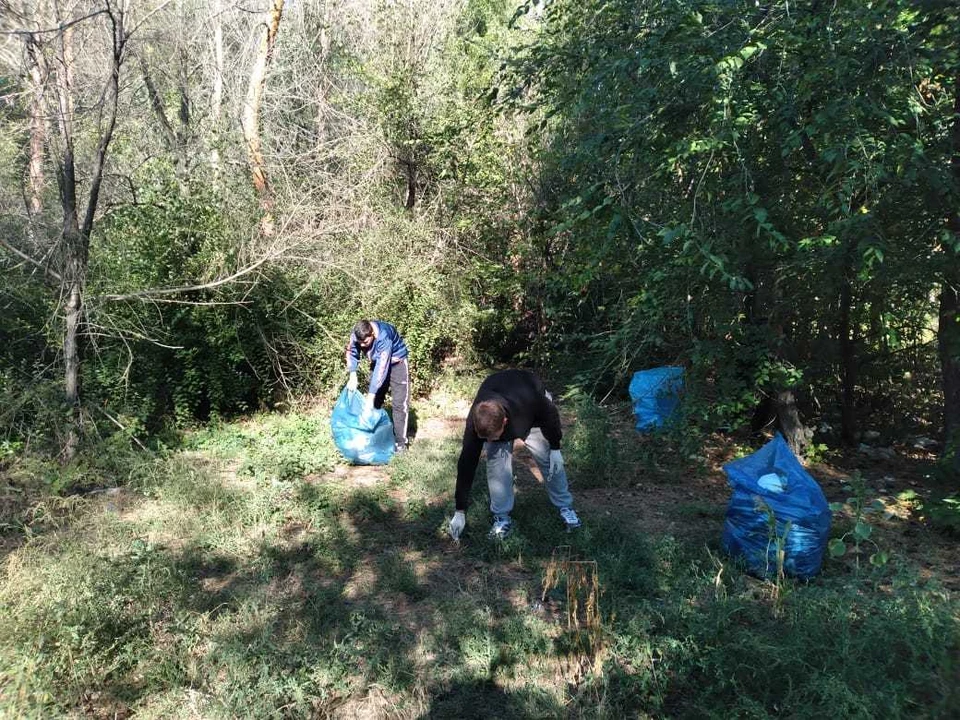 Фото с сайта управления лесхоза Воронежской области