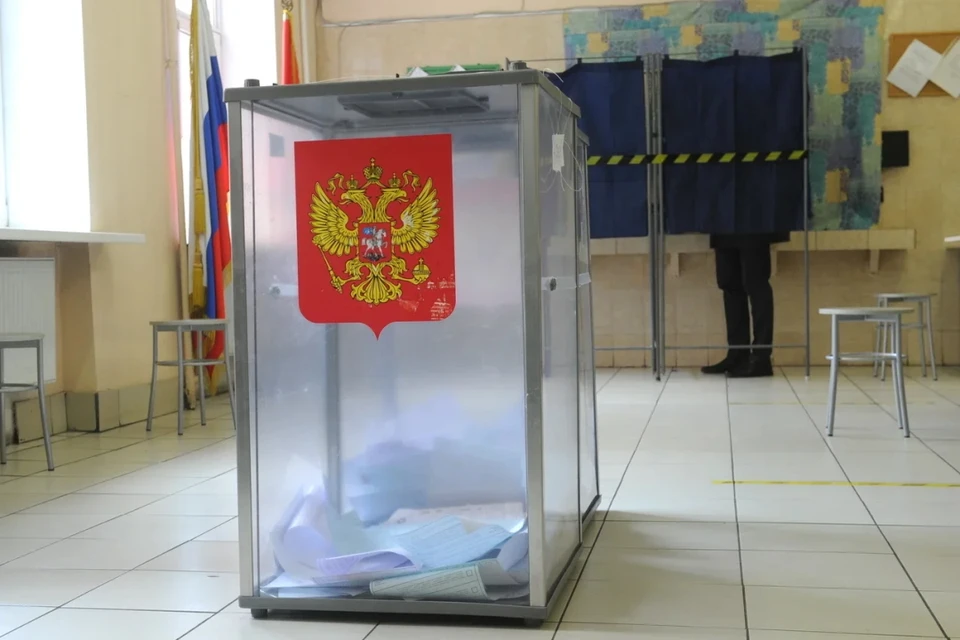 В Ленобласти меньше всего жаловались на выборах в Госдуму и Заксобрание.