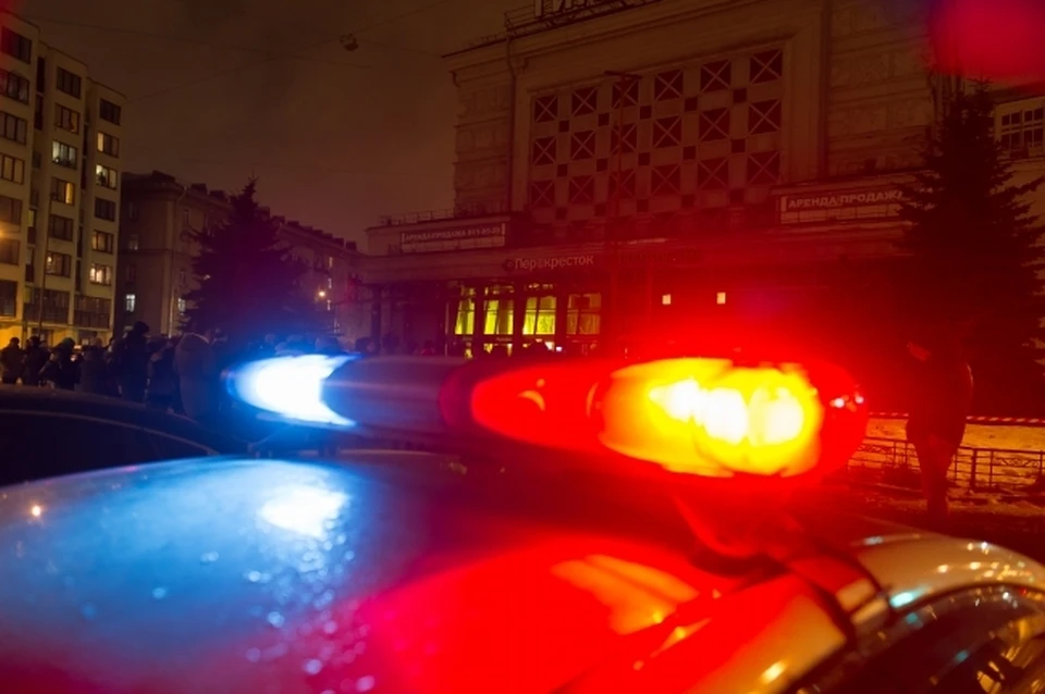 Полиции удалось быстро найти угонщика автомобиля.