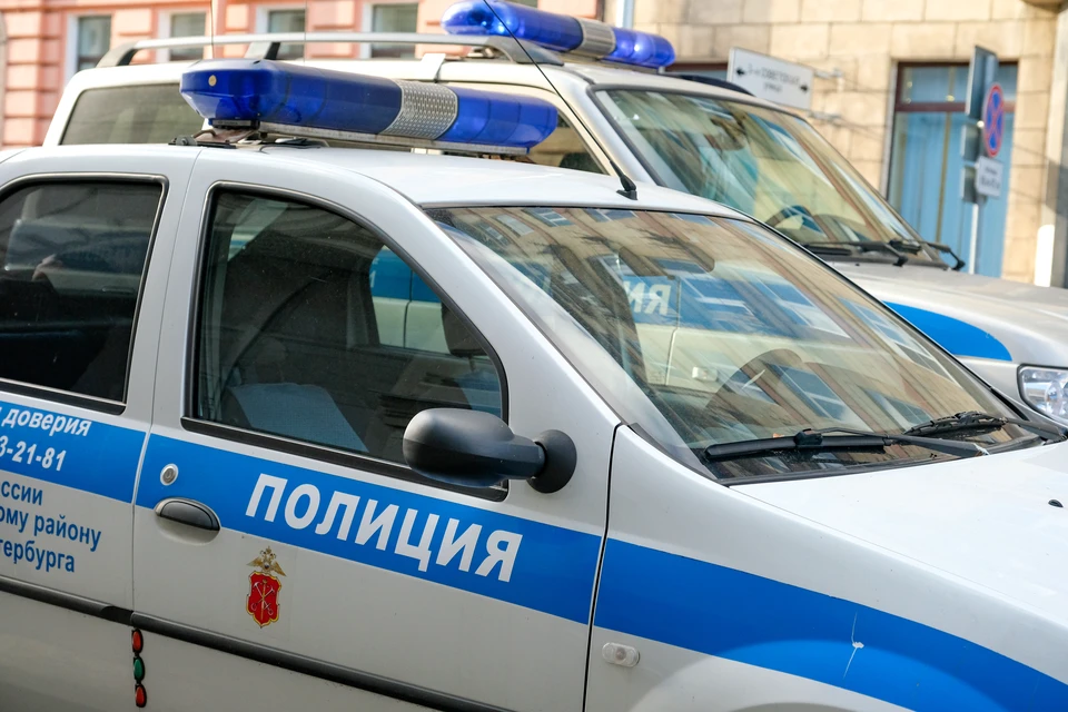 В Ленобласти полицейский спас женщину от изнасилования