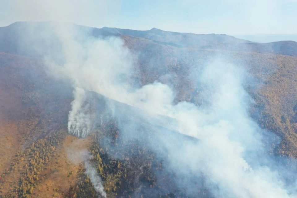 В Хабаровском крае горит 25 гектаров леса: общественность возмущена