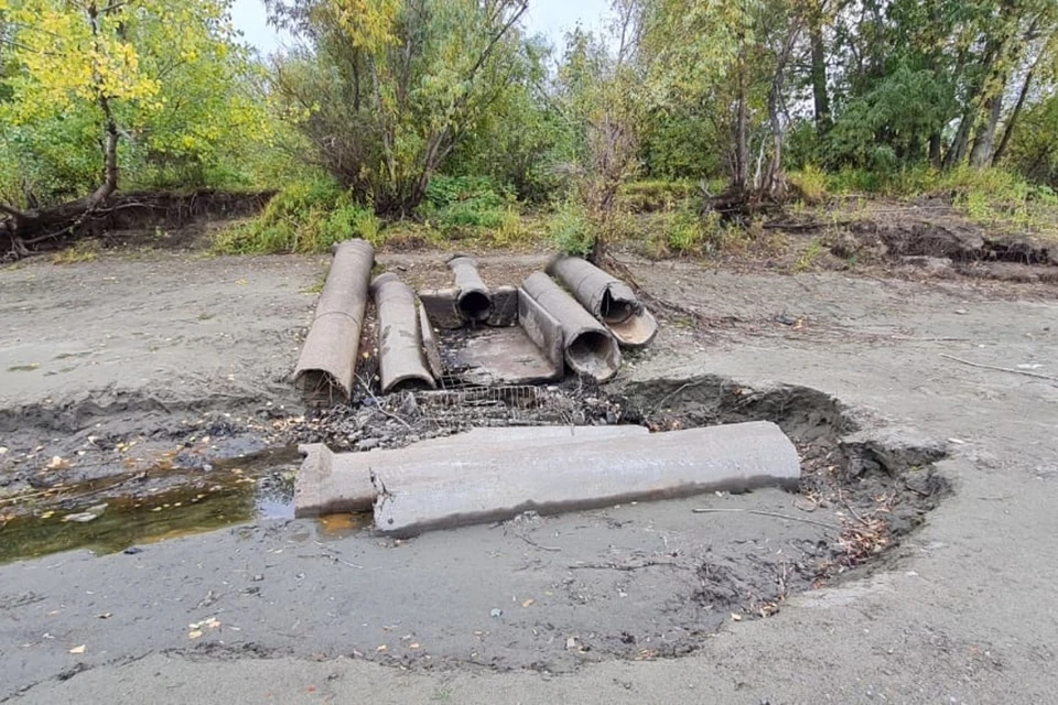 Моржи обнаружили на берегу Оби старые трубы, из которых в реку вытекала зловонная жидкость