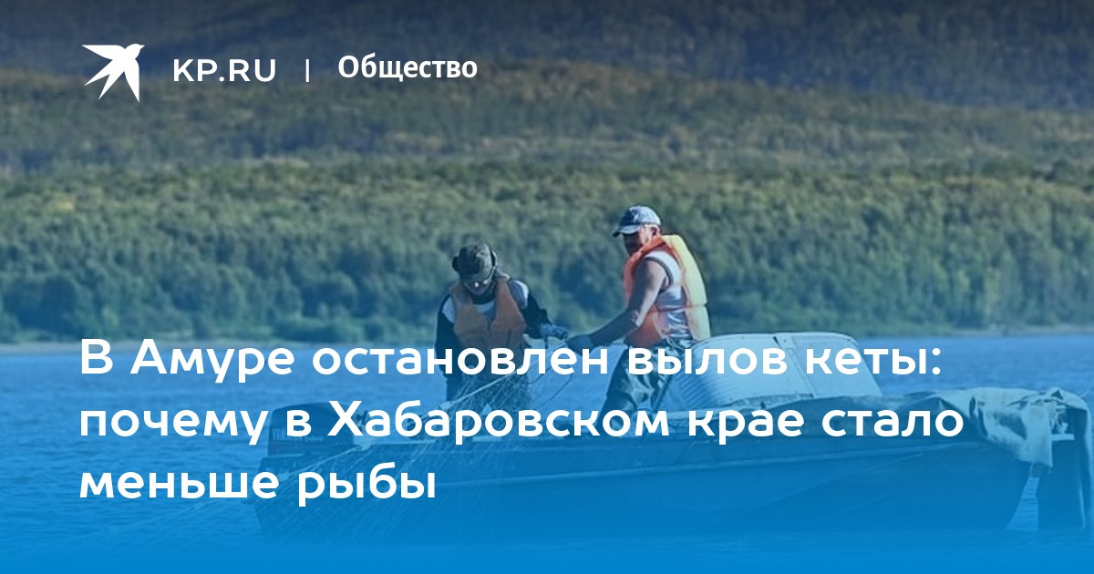 В Амуре остановлен вылов кеты: почему в Хабаровском крае стало меньше рыбы - Vimarsana News