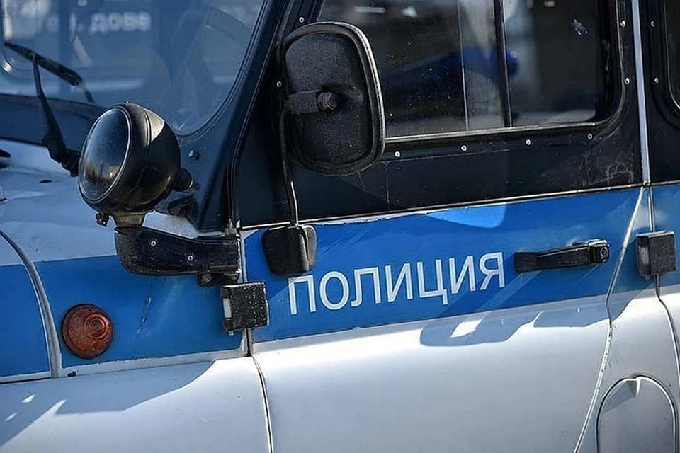 Полиция ищет водителя, который насмерть сбил многодетную мать