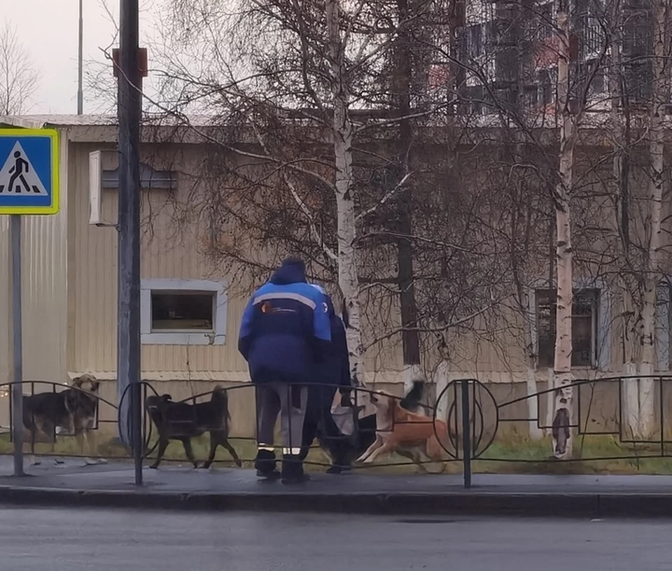 Фото: паблик "ЛАБЫТНАНГИ СЕГОДНЯ"