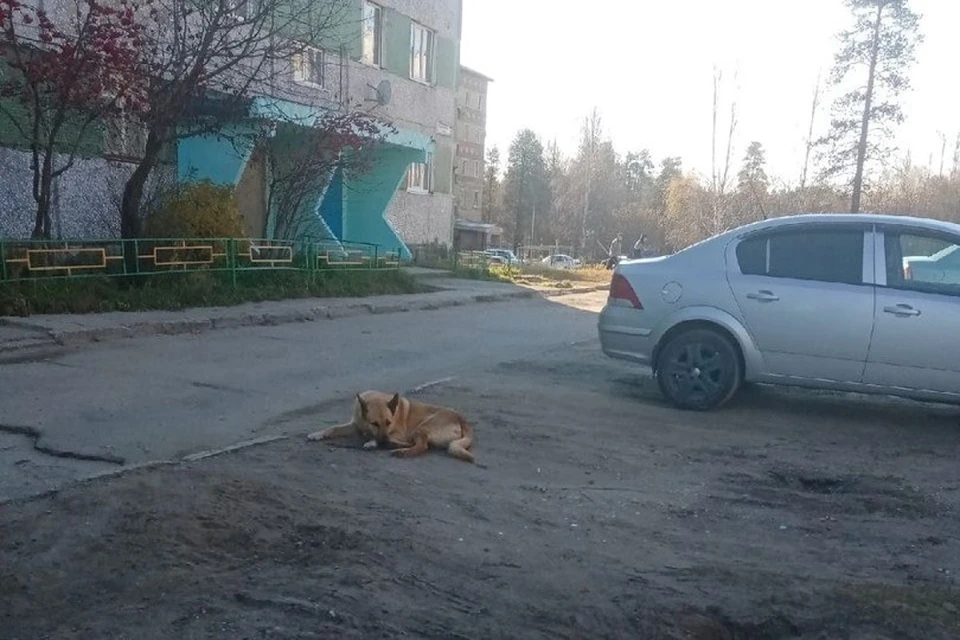 Фото: соцсети.