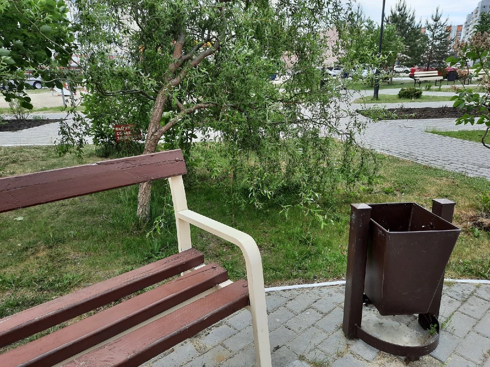 В Голышманово бизнесмены взялись за создание парка Предпринимателей
