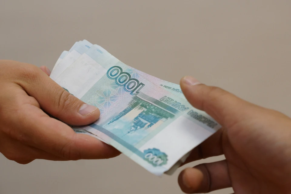 Многодетные семьи из Иркутской области могут подать заявление на выплату взамен земельного участка с 11 октября