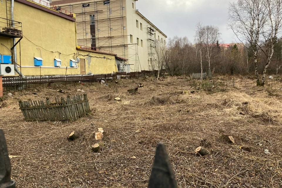 Фото: паблик "Подслушано в Салехарде". То самое старое кладбище в центре города.