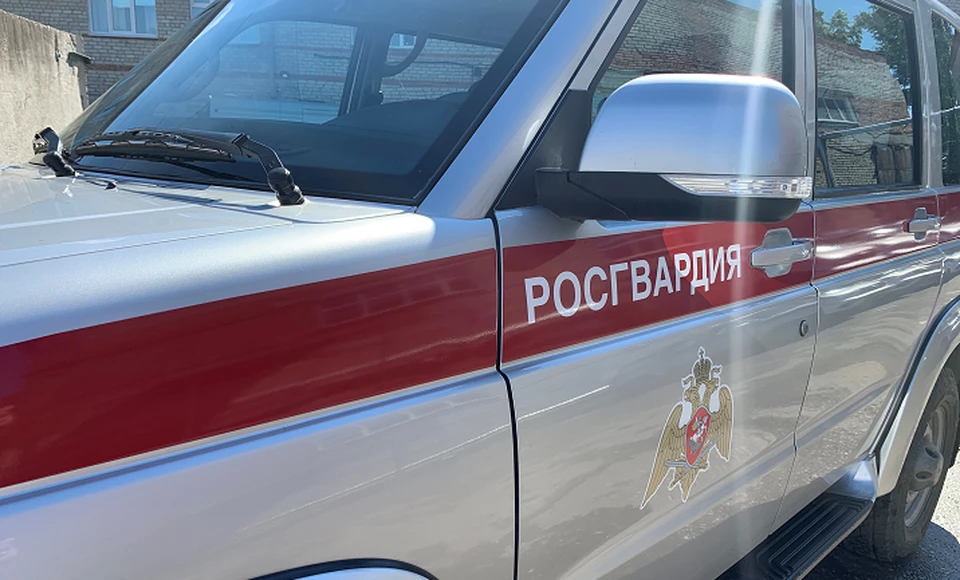 Стражи правопорядка задержали подозреваемого в краже кабеля из жилого дома. Для дальнейшего разбирательства местный житель 1971 года рождения передан сотрудникам органов внутренних дел. Фото пресс-службы Росгвардии.