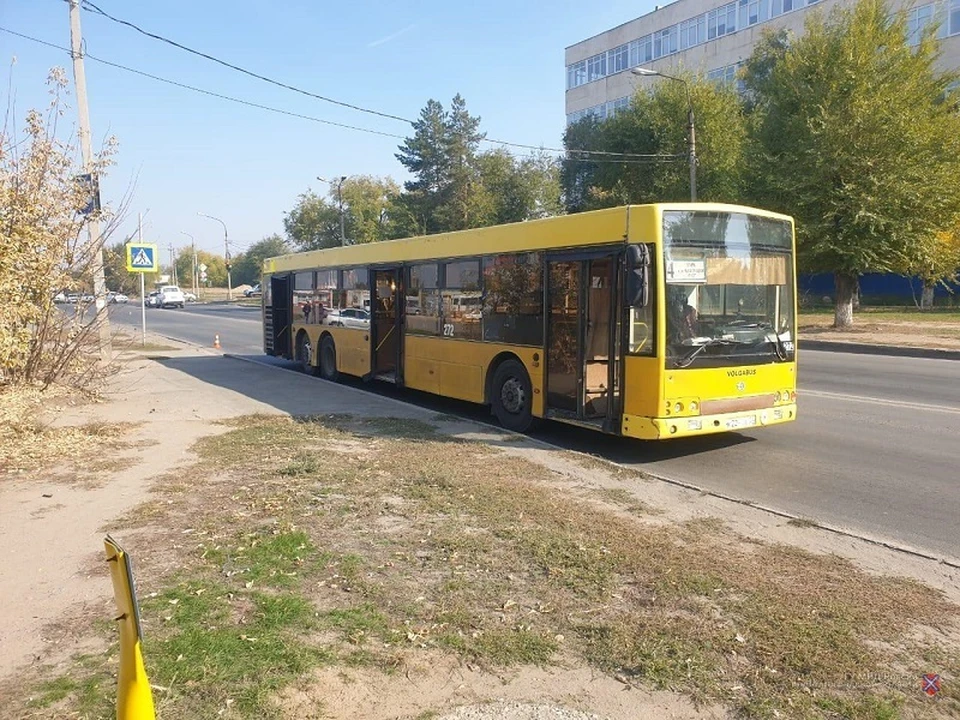 Новости волгограда общественный транспорт. Автобус Волгоград. Общественный транспорт Волжский. Автобус Волжанин. Автобусный транспорт Волгоград.