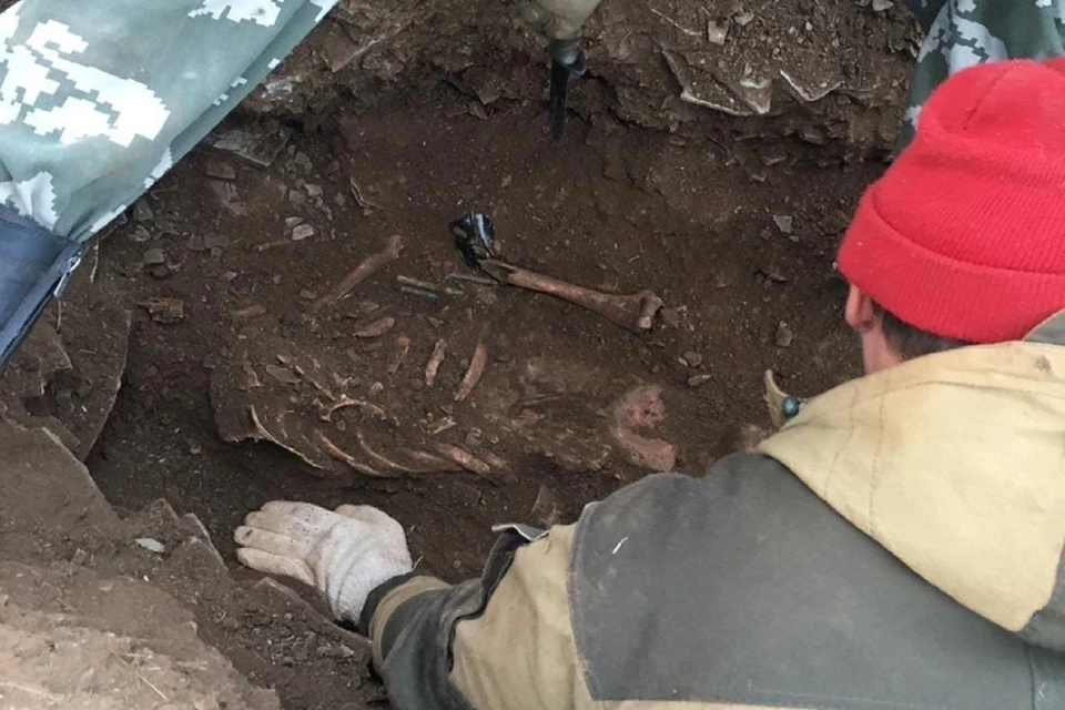 В Сальске при раскопках нашли останки казака и его коня. Фото: объединение "Миус-Фронт"