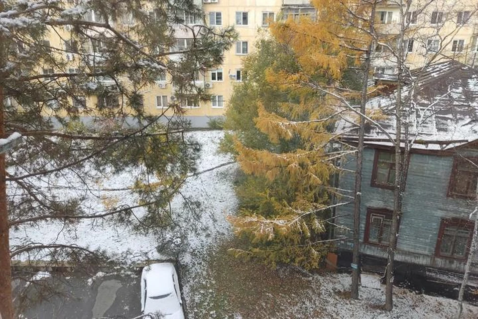 Хабаровске выпал снег. В Хабаровском крае выпал снег.