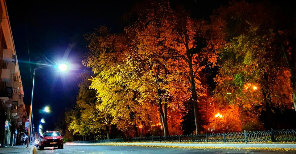 Ночью в Белгородской области ожидается до 3 градусов мороза. фото: Артем Гребеник.