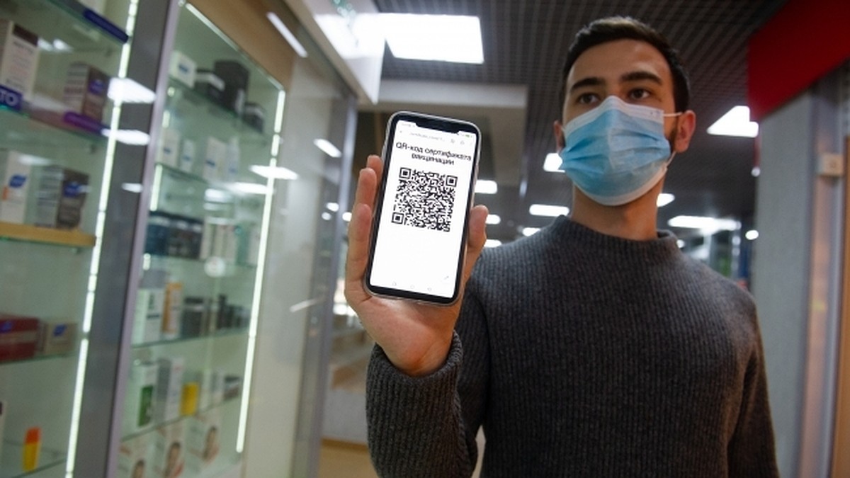 Крым с 25 октября переходит на QR-коды - KP.RU