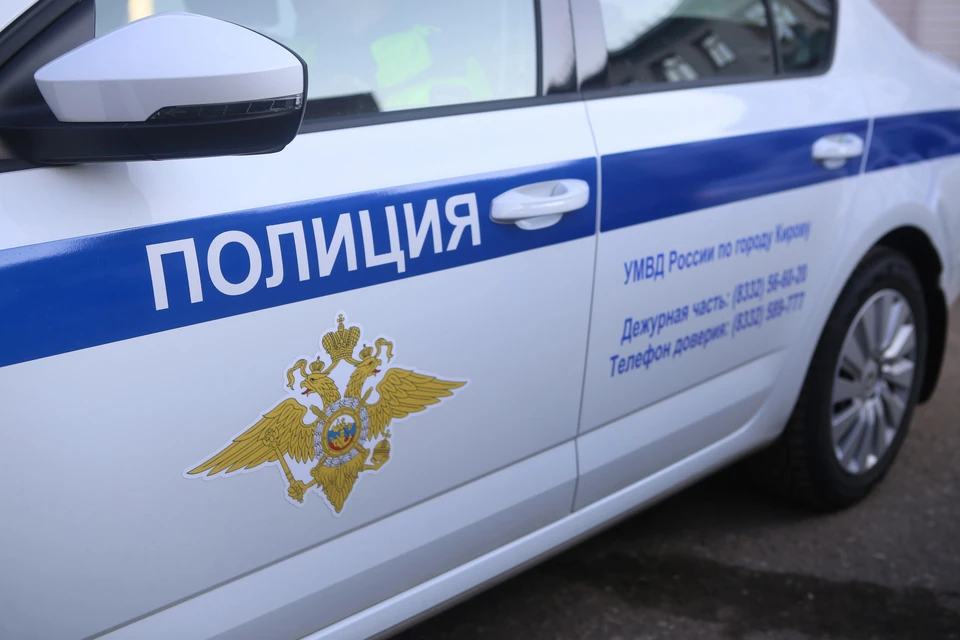 Автоинспекторы пресекли почти три тысячи нарушений ПДД. Фото: vk.com/gibdd43